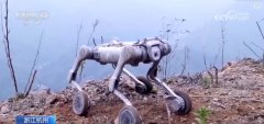 <b>这一款B2-W工业轮脚机械狗是由一家科技公司自从</b> 